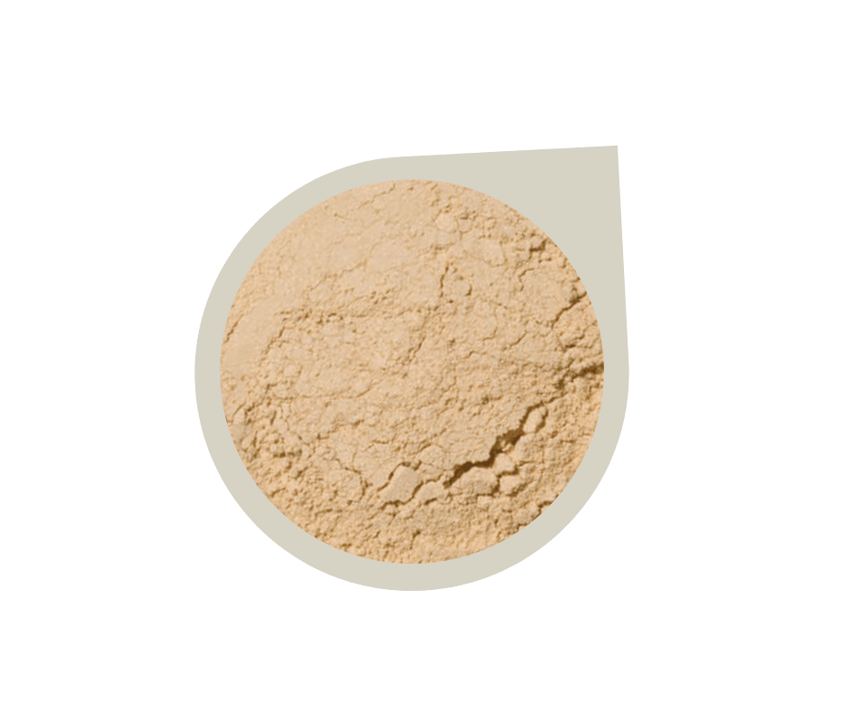 Start Up Kit ~ Mineral Foundation Powder - Alluring Minerals