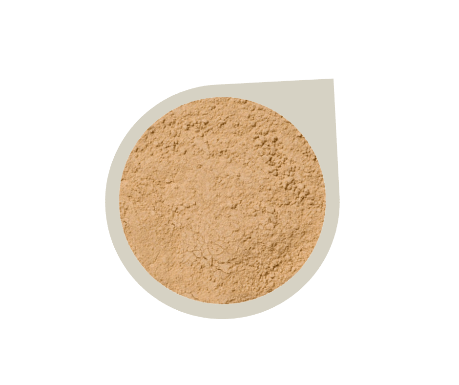 Start Up Kit ~ Mineral Foundation Powder - Alluring Minerals