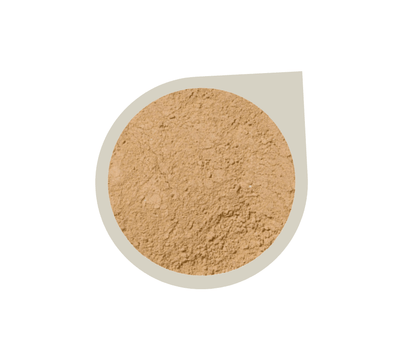 Start Up Kit ~ Mineral Foundation Powder - Alluring Minerals