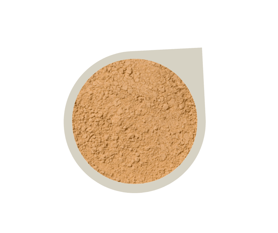 Start Up Kit ~ Mineral Foundation Powder - Alluring Minerals